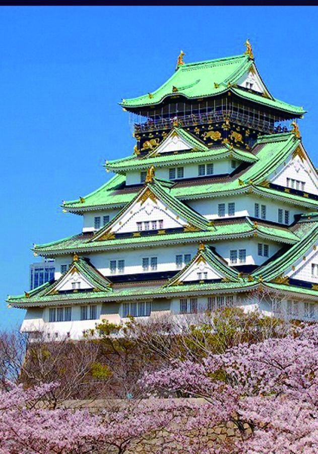 Shirakabanoyado-Taisho Villa Oszaka Kültér fotó
